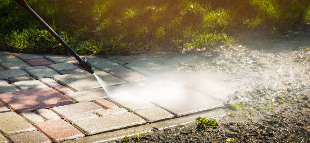 Best Animal Enclosure Cleaning  in Baldwin Park, CA