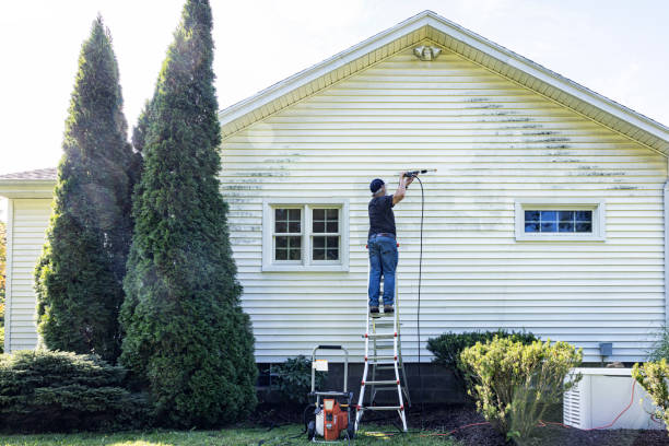 Best Roof Washing  in Baldwin Park, CA